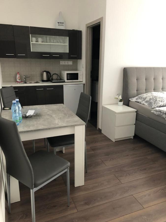 Apartman Hanna كارلوفي فاري المظهر الخارجي الصورة
